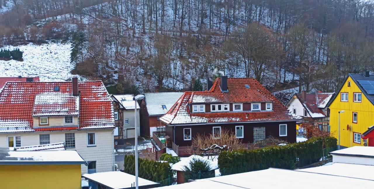 Arode Huette Harzilein - Romantic Tiny House On The Edge Of The Forest Zorge Exteriér fotografie